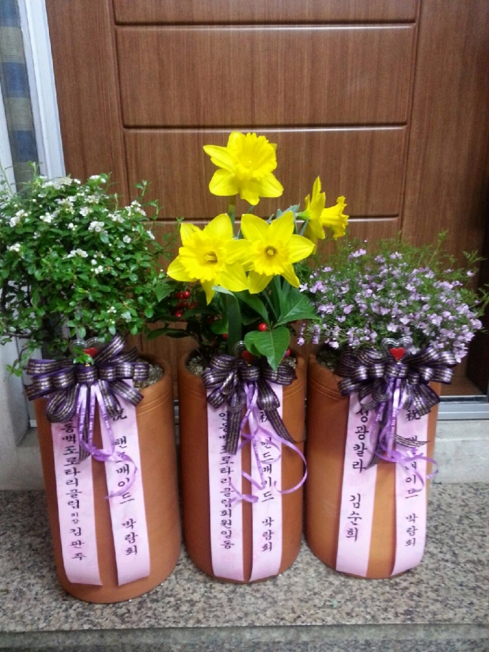 ���޽��������