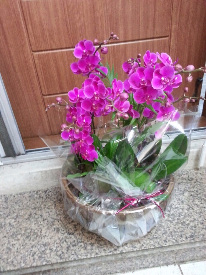 �����ȿ�ȣø��