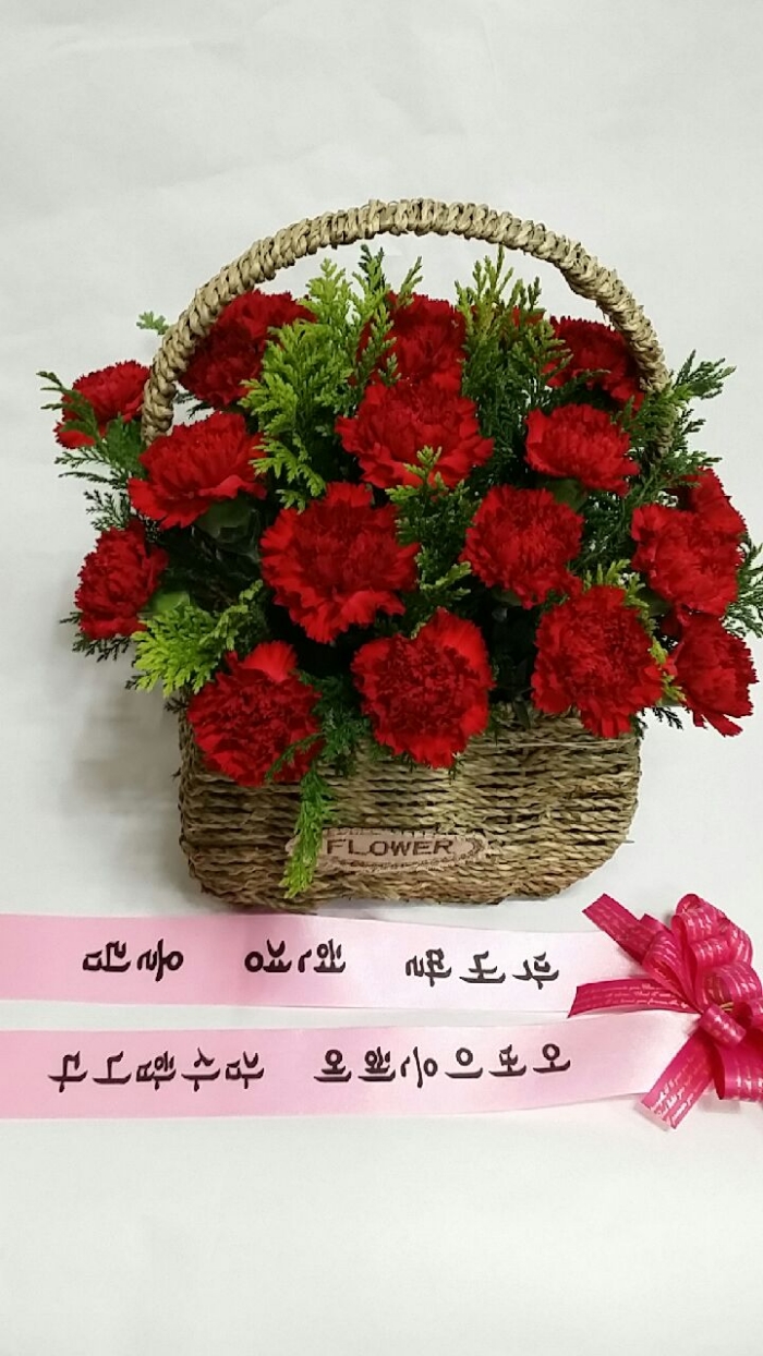 ����ī���̼�