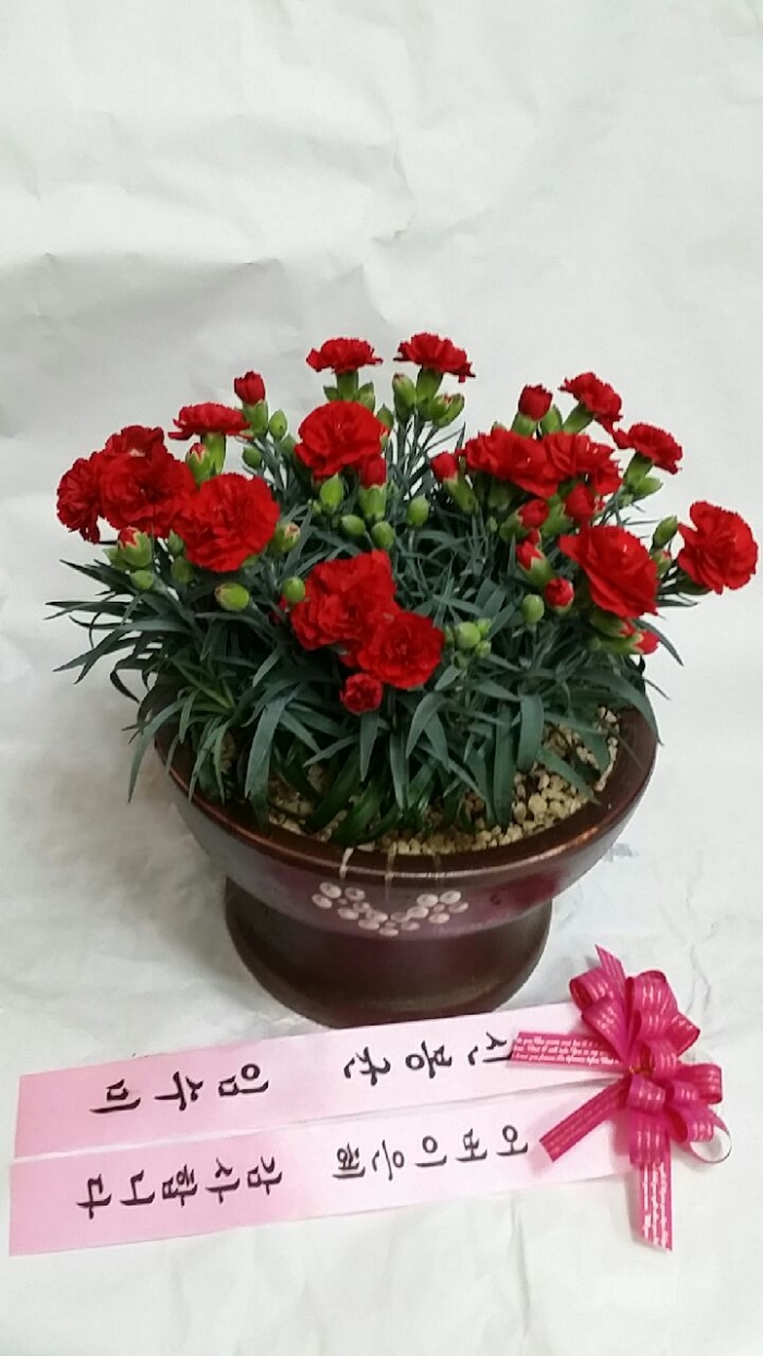 ī���̼�ȭ��