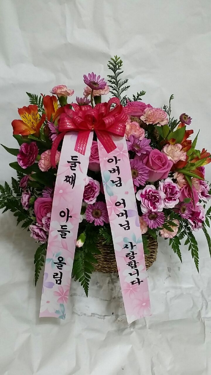 ������ ���� 