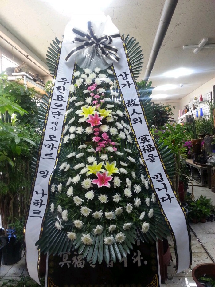 ����3�� Ư��