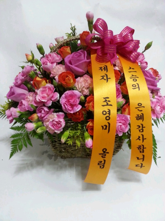 ������ �� �ɹٱ���