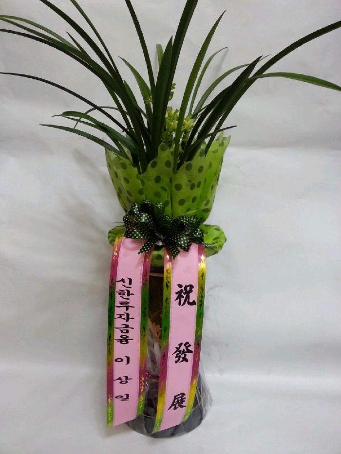 ���糭 ö��ҽ�